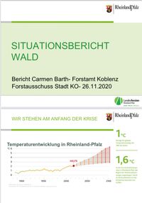 Situationsbericht Wald