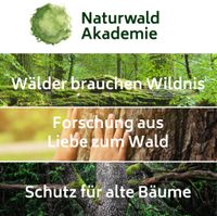 Naturwald-Akademie
